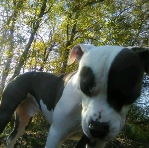 Meet your Posher, Haylee